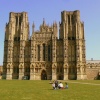 The Cathedral