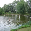 Needham Lake near Needham Market