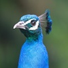 Look at me