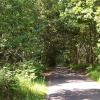 Fannie's Lane