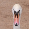 Are you looking at me!