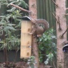 Where did I put my nuts?