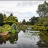 Millpond