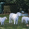 DON'T FENCE ME IN !