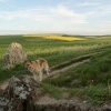 Sadie by the Long Barrow