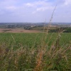 Cann Common