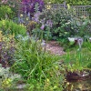 Cottage Gardens
