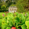 A View of the Garden