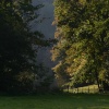Ilam Park