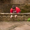 The Stocks!!!