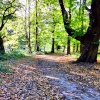 Cobham Park