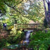 Minterne House and Gardens