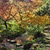 Minterne House and Gardens