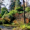Minterne House and Gardens