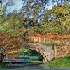 Minterne House and Gardens