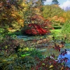 Minterne House and Gardens