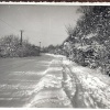 Winter Snow