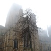 Durham Cathedral in the Fog