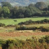 Near to Brecon Beacons Visitor Centre