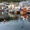 Padstow Harbour