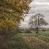 Farmland at Godington, Oxfordshire