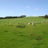 Ravenglass, rural landscape