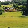 Nice garden