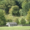 Lone Building