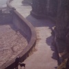 Sea defence walk