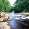 High Force river