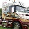A tiger in his tank