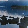 Nice stones
