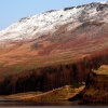 Dovestones