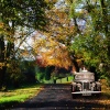 Londesborough Autumn.
