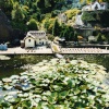 Miniature Village