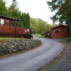 Life in the Woods at Bowness