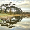Reflections - Attingham Park, Shrewsbury