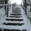 Winter Walk