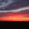 Sunset over Trentham Staffordshire