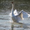 Spring clean in Roker Park
