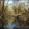 Ladybridge Park
