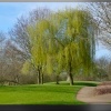 Ladybridge Park