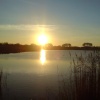Talkin sunset