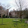 Hodsock Priory Spring Gardens