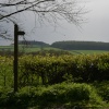 Countryside near Broseley, Shropshire