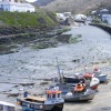 Boscastle