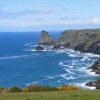 Bossiney Bay