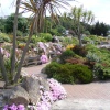Garden near the sands