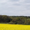 Nottinghamshire Countryside
