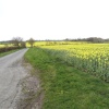 A country road in Horham
